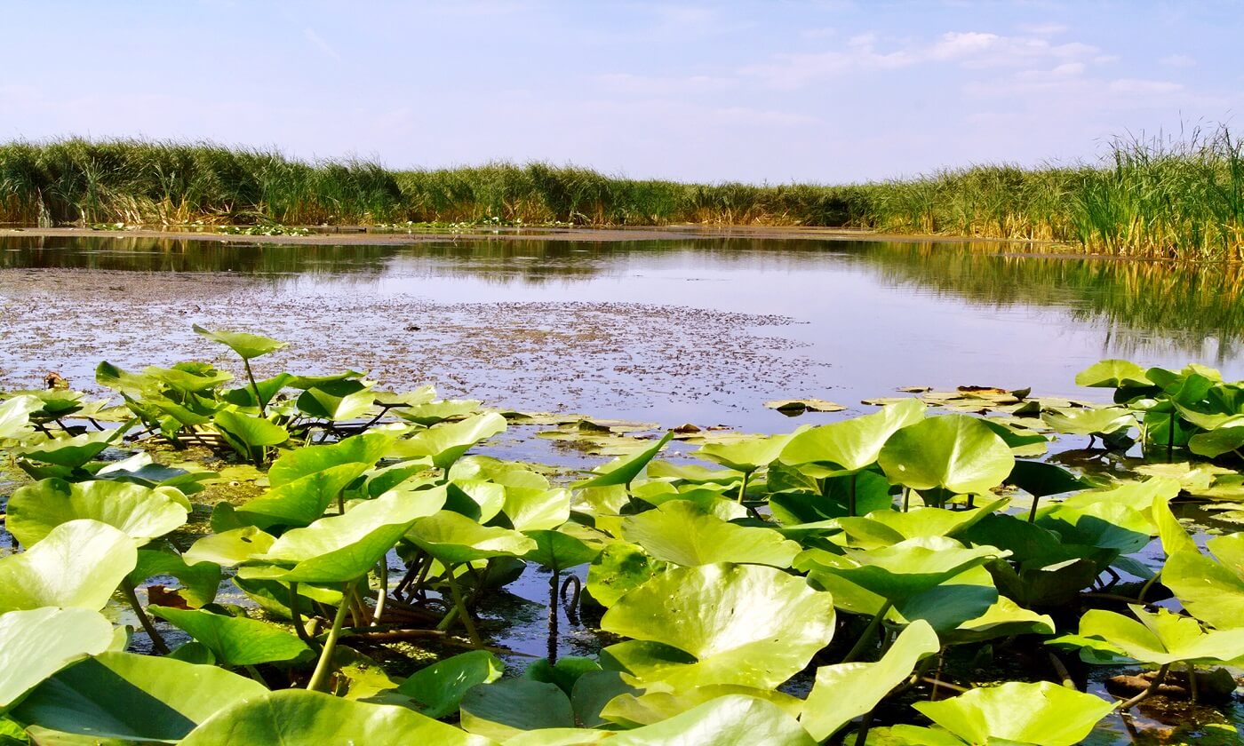 Operatorii turistici din Delta Dunării, pregătiți pentru vacanța de Paște și 1 Mai