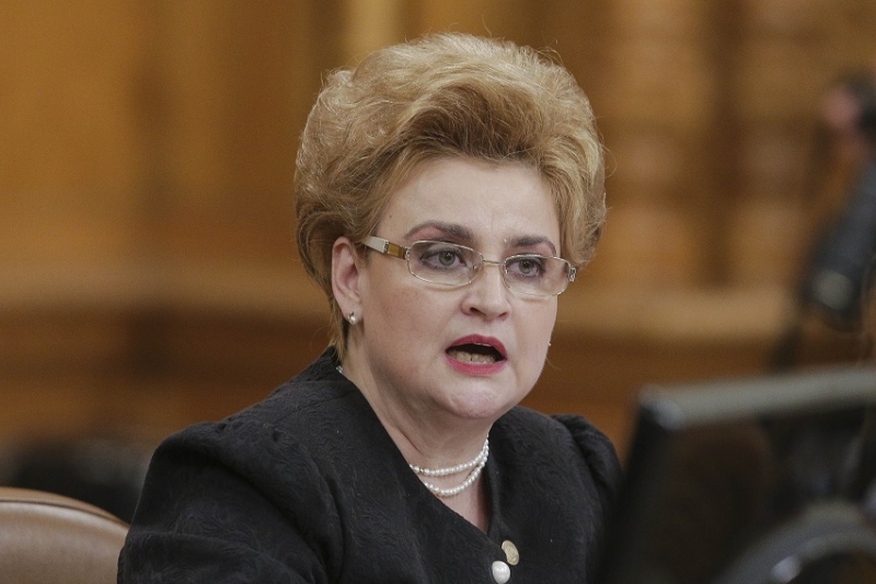Tulcea: Ministrul Mediului, Graţiela Gavrilescu, invitată la dezbaterea pe tema animalelor fără stăpân