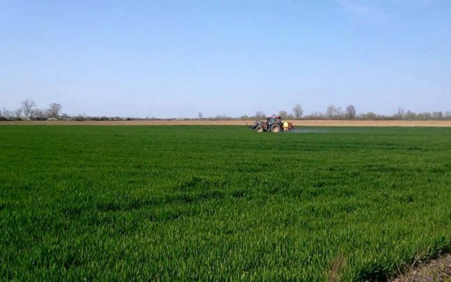 Agrometeo: Rezerva de umiditate în cultura grâului de toamnă se va încadra în limite satisfăcătoare, în intervalul 3-9 aprilie