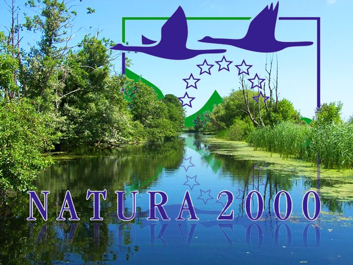Uniunea Europeană. Peste 4 milioane de locuri de muncă depind direct de ecosistemele sănătoase