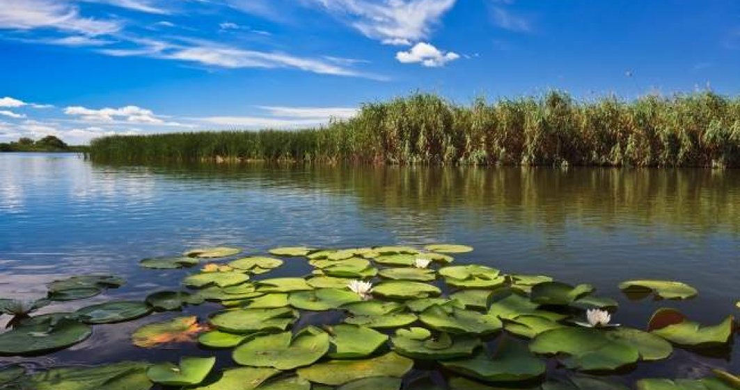 Delta Dunării rămâne o destinație de vis pentru petrecerea vacanței de 1 Mai