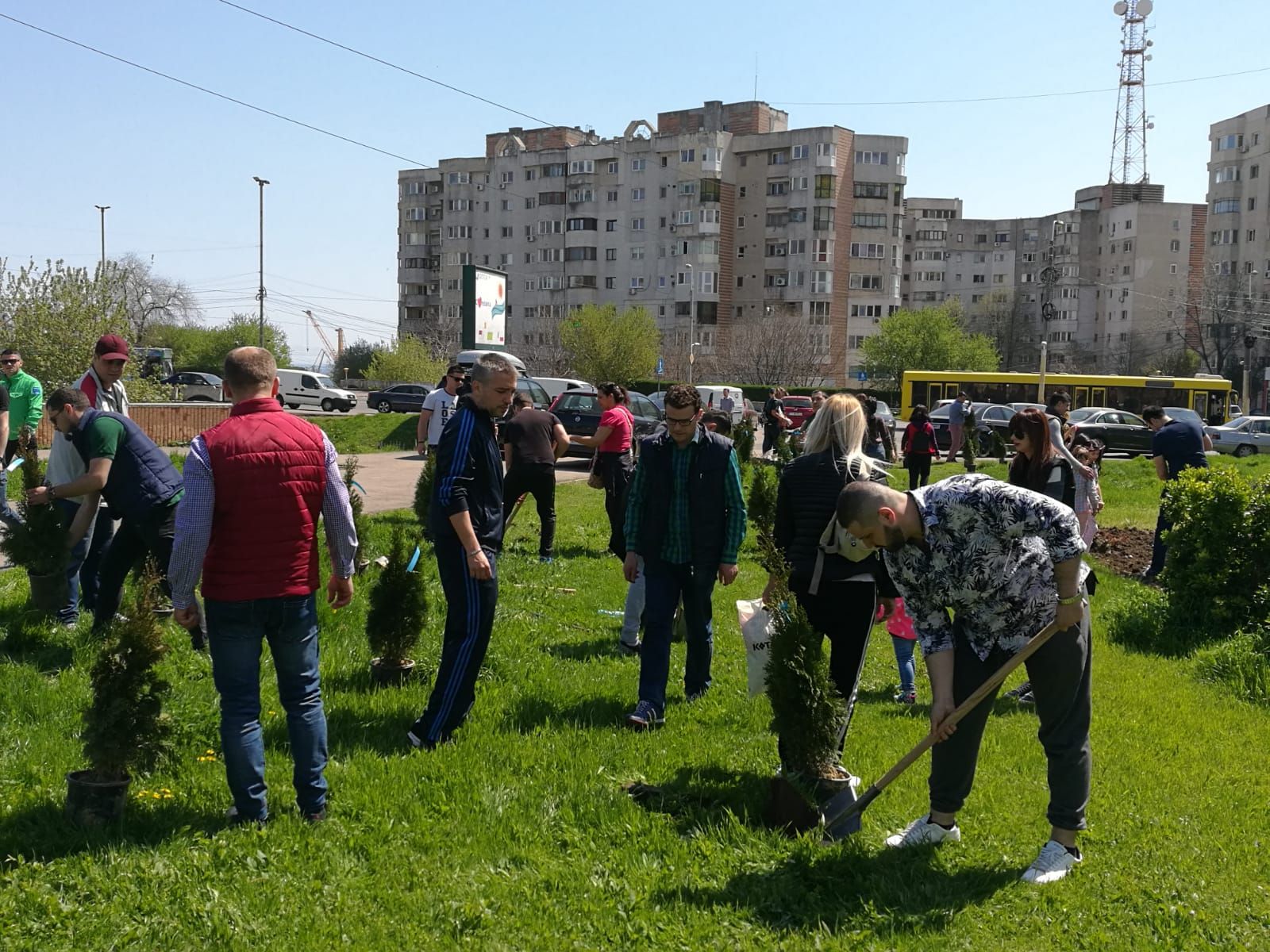 „Constanţa Verde” prinde rădăcini! Zona din apropierea pasajului subteran de la Gară a fost înfrumusețată cu sute de trandafiri și arbuști ornamentali