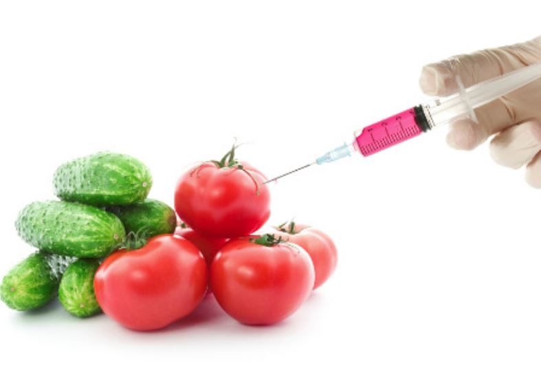 Organismele modificate genetic, un real pericol asupra sănătății, a mediului, dar și asupra drepturilor țăranilor