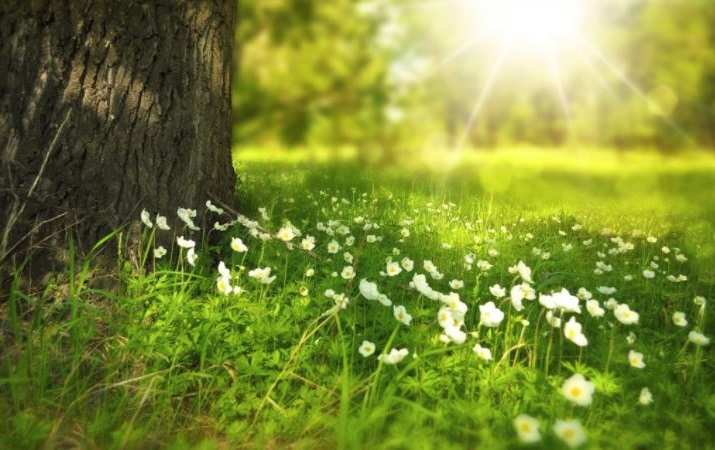 Dobrogea: Vreme plăcută de primăvară