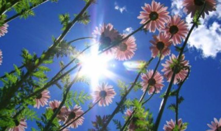 DOBROGEA – Prognoza pentru următoarele două săptămâni: Temperaturi peste media climatologică