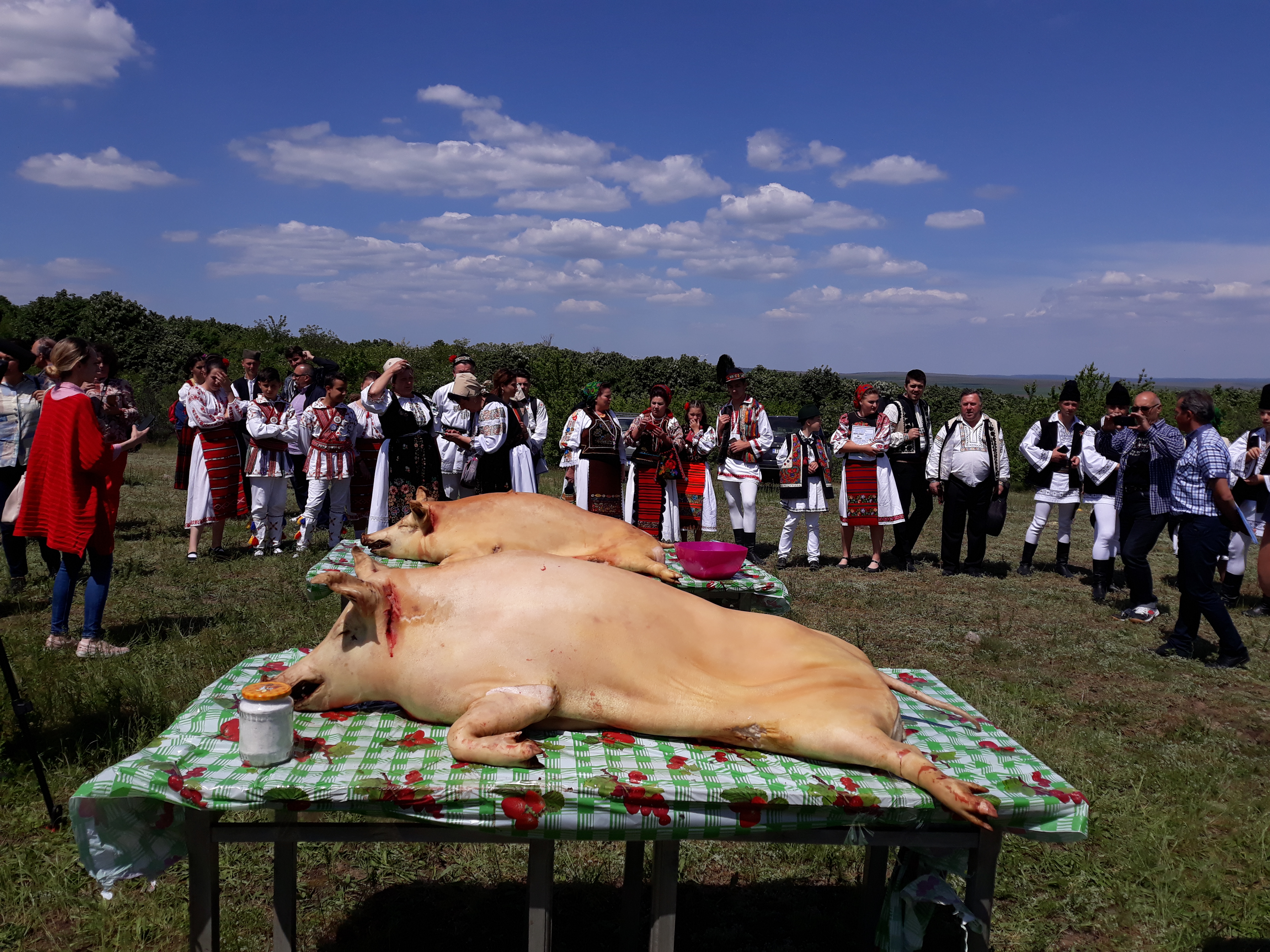 Festivalul Păstoritului a ajuns la ediția a XVI-a