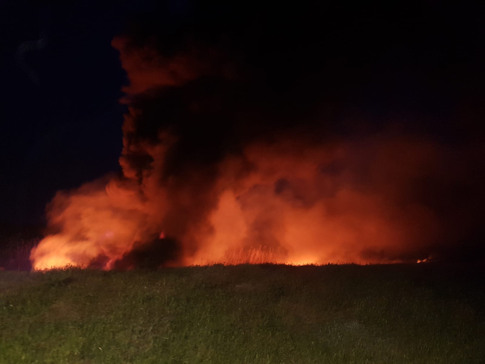 Jud. Constanța: Incendiu în apropierea unei conducte de petrol (imagini)