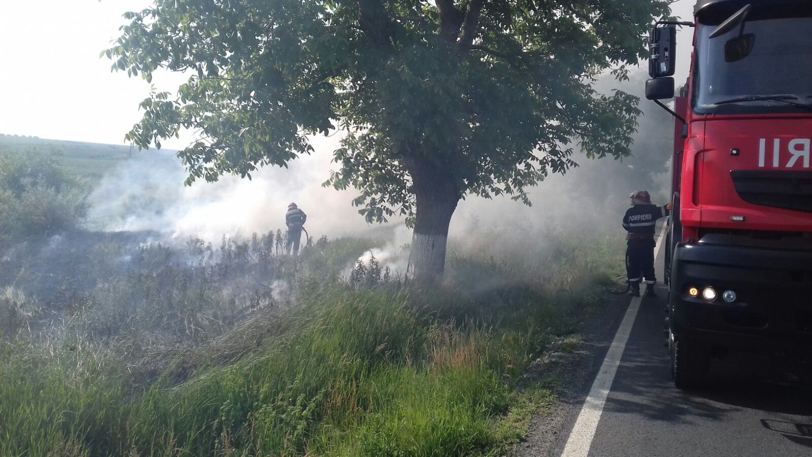 Tulcea: Incendiu de vegetație în apropiere de gara Zebil