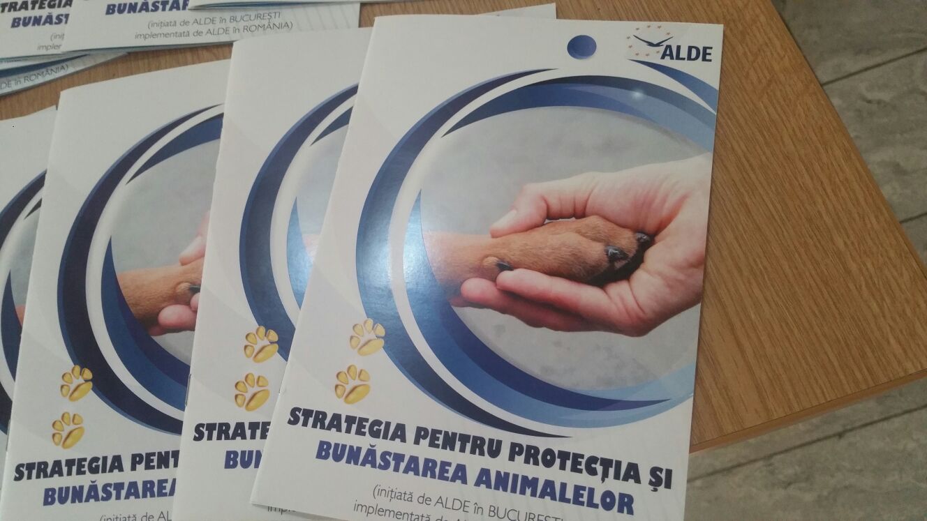 CONSTANȚA: Strângere de semnături pentru „Strategia de protecţie a animalelor”
