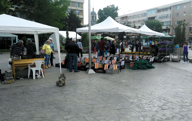 Târg de flori la Tulcea