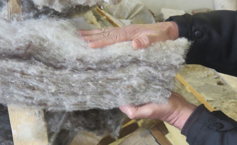 DOBROGEA: Lâna de oaie poate fi folosită la termoizolarea clădirilor