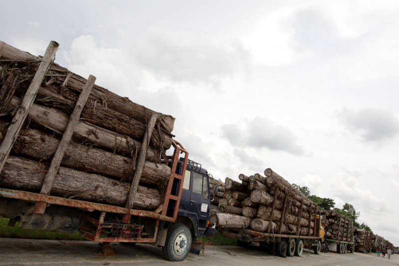 Percheziţii DIICOT la sediul societăţii Schweighofer Holzindustrie şi la fabricile din Sebeş şi Rădăuţi