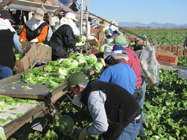 Eurostat: 1 din 5 români apţi de muncă trăieşte în alte state membre ale UE