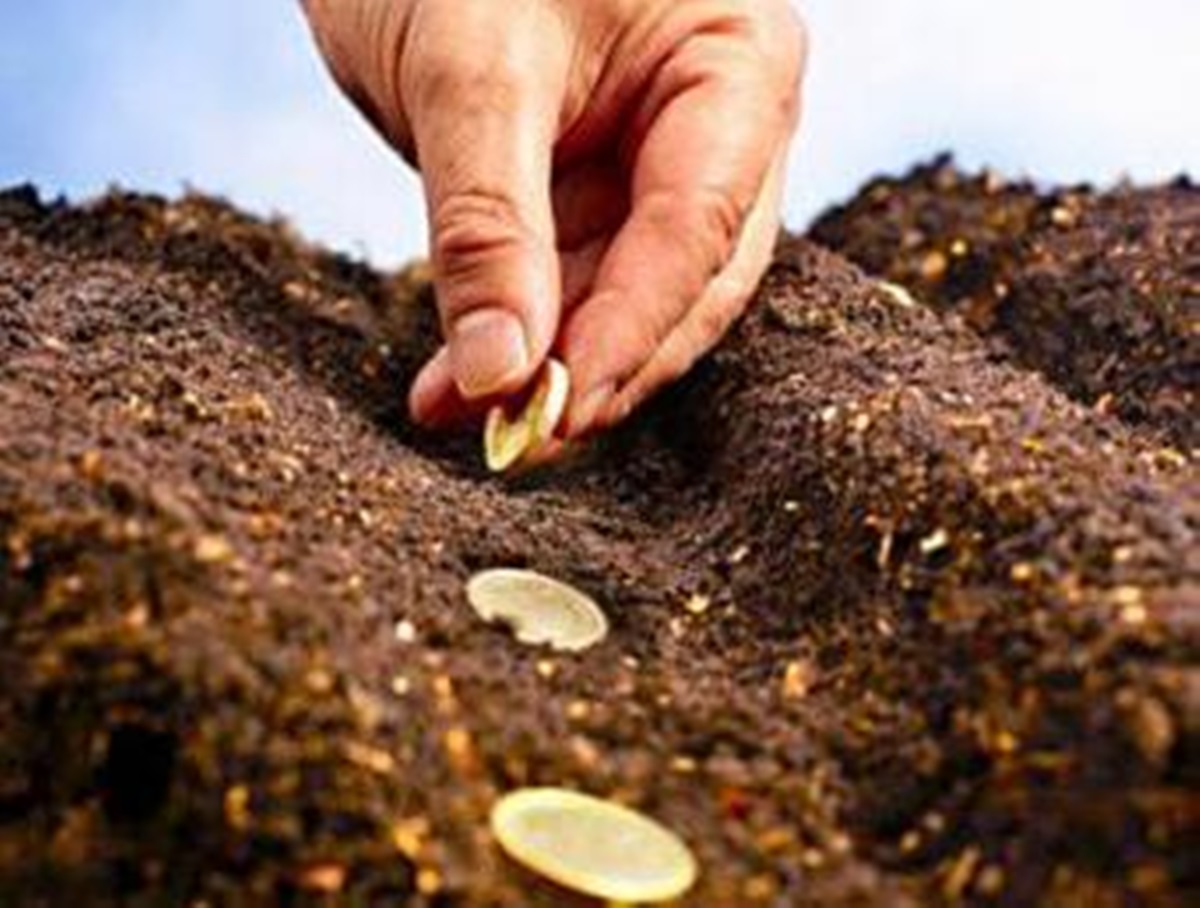 Mâine expiră termenul limită pentru depunerea cererilor pentru subvențiile agricole