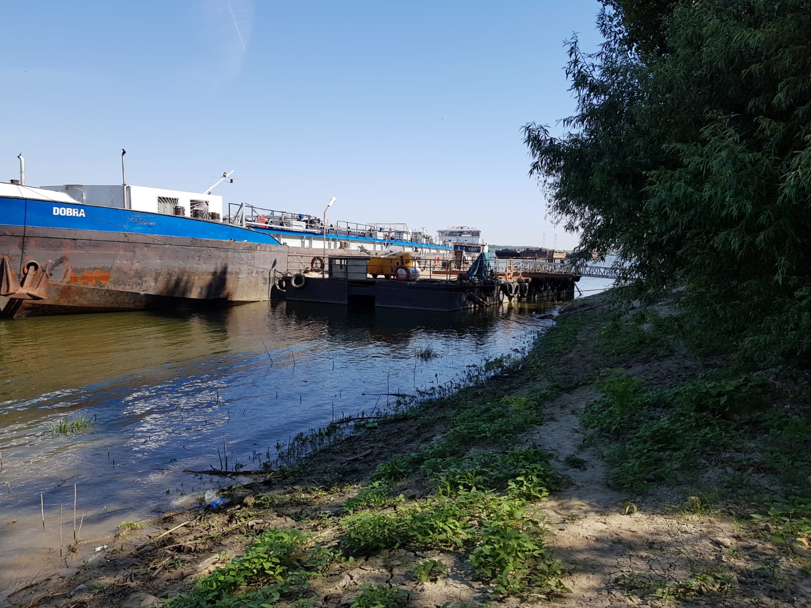 UPDATE – CERNAVODĂ: Marinar căzut în Dunăre de la bordul navei pe care lucra