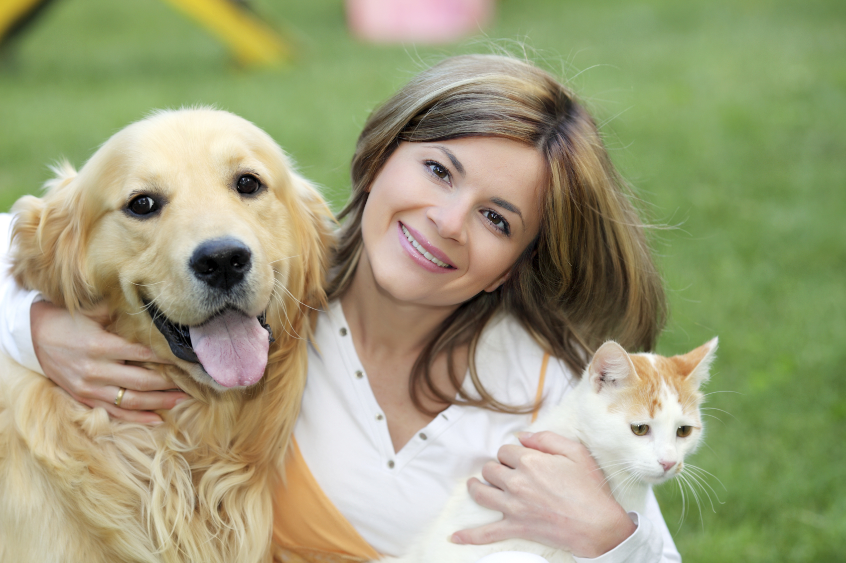 Concediu pentru creșterea animalului de companie?! Este posibil… în Norvegia!
