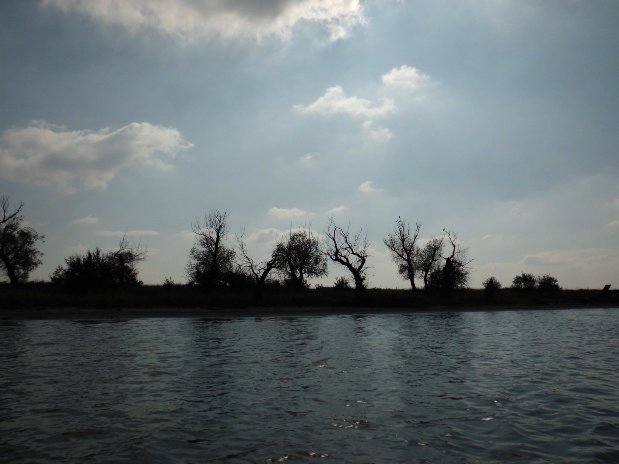 UPDATE! ANM: Cod galben de ploi pentru Dobrogea! A fost emisă și o avertizare de inundații