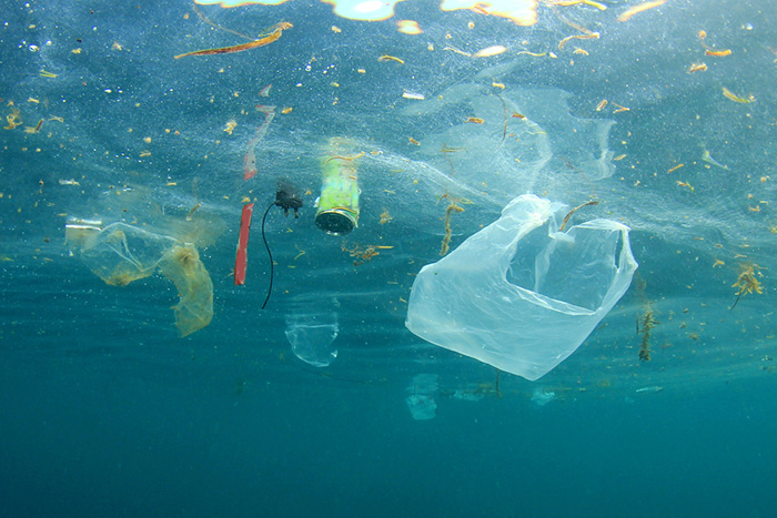 Ziua mondială a Oceanelor | Marian Paiu, Mare Nostrum „Vom ajunge să avem pe masă nu doar pește, ci un pește care conține plastic“