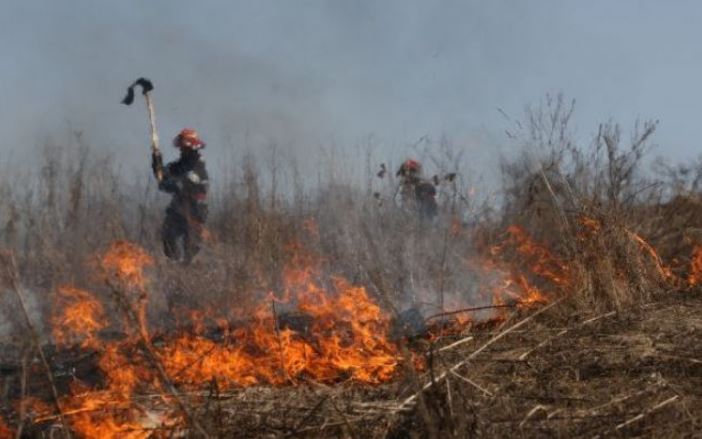 Județul CONSTANȚA: Circa 10 hectare de orz au fost mistuite de flăcări