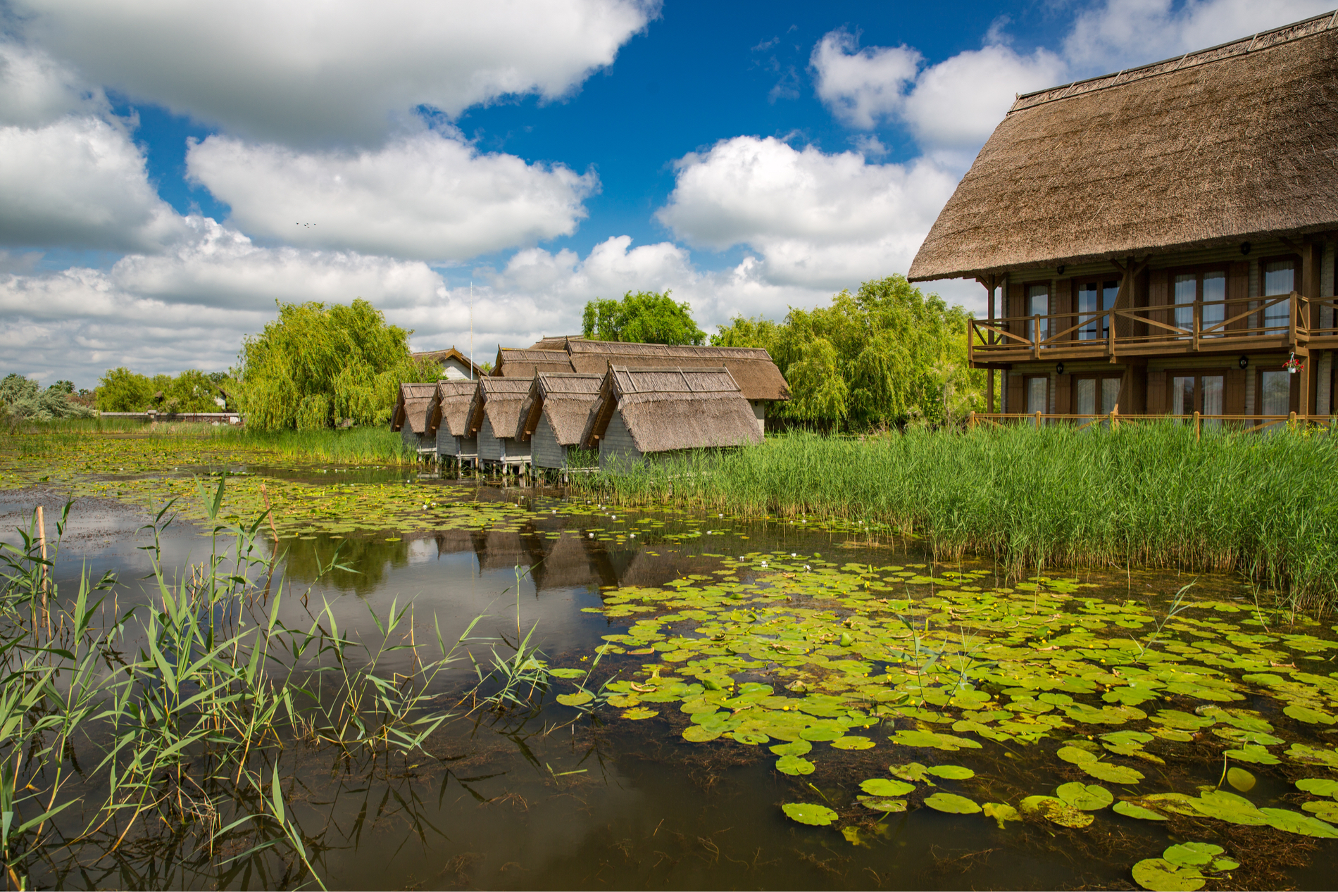 Hotelurile și pensiunile din Delta Dunării, pregătite pentru sosirea primilor turiști