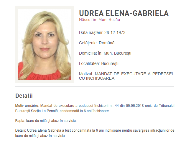 Avocatul Elenei Udrea: Va fi dusă la o instanţă; din punctul meu de vedere, nu va dispune extrădarea