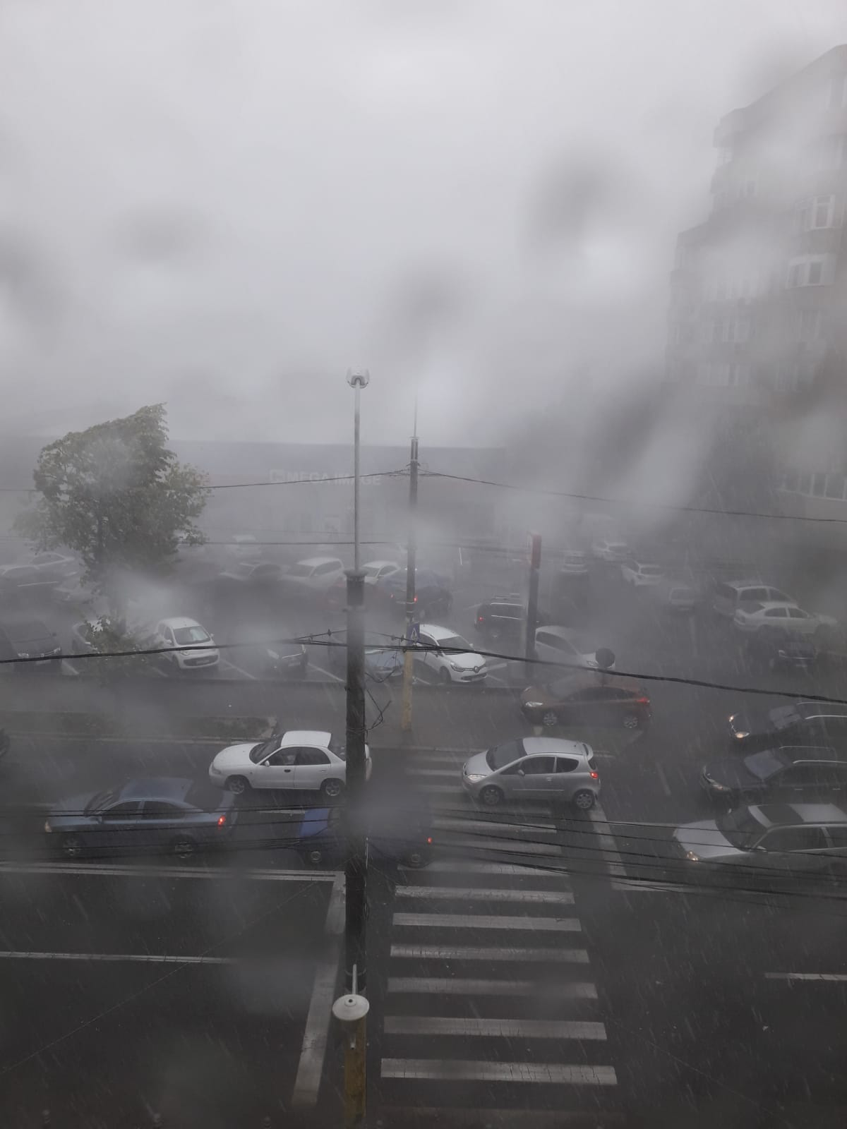 Cod Portocaliu: Plouă torențial în județul Constanța (VIDEO)