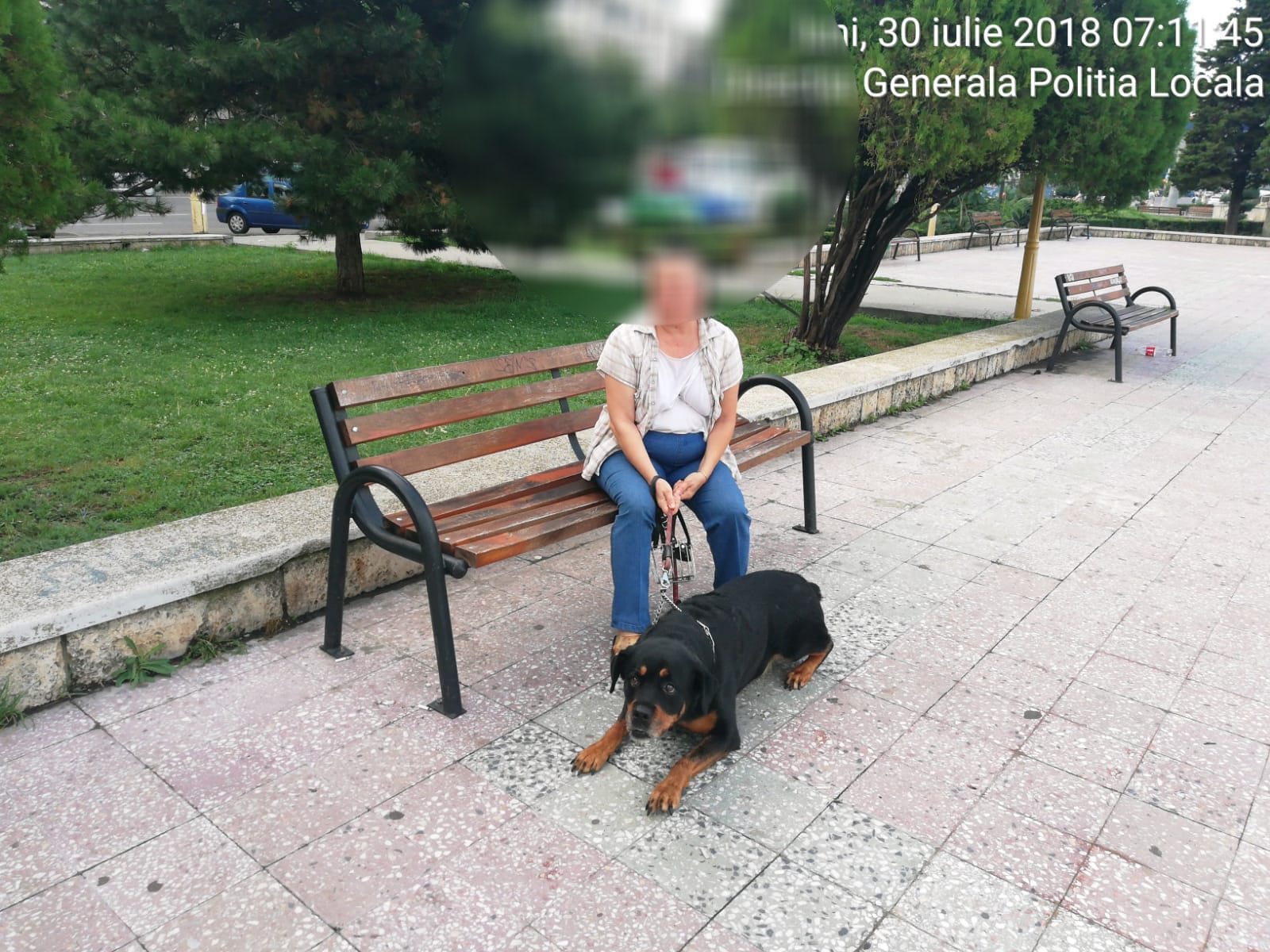 Constănțeancă amendată cu 1.500 de lei pentru că-și plimba rottweilerul fără botniță