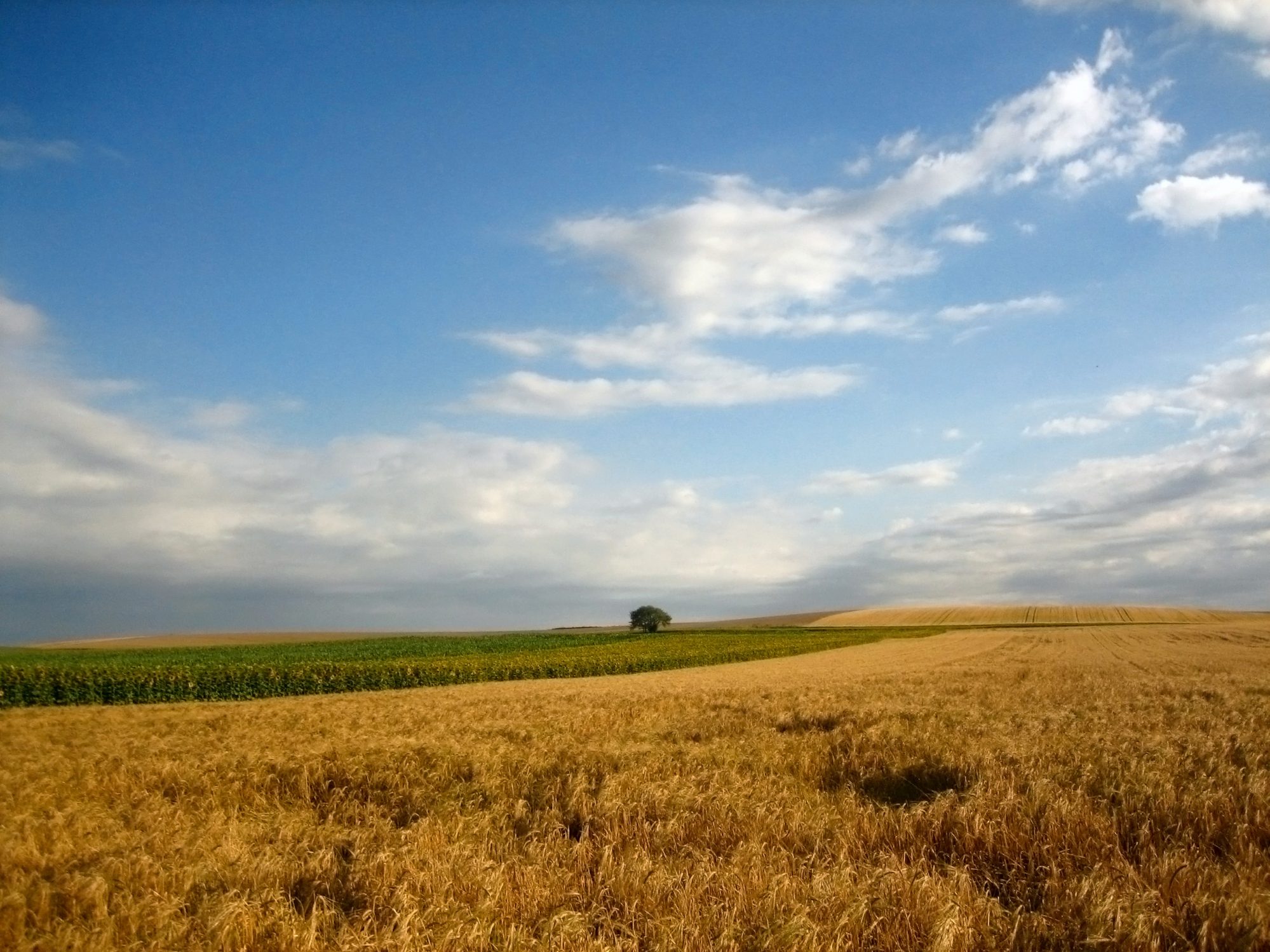 Dobrogea are astăzi cele mai mari maxime termice din România