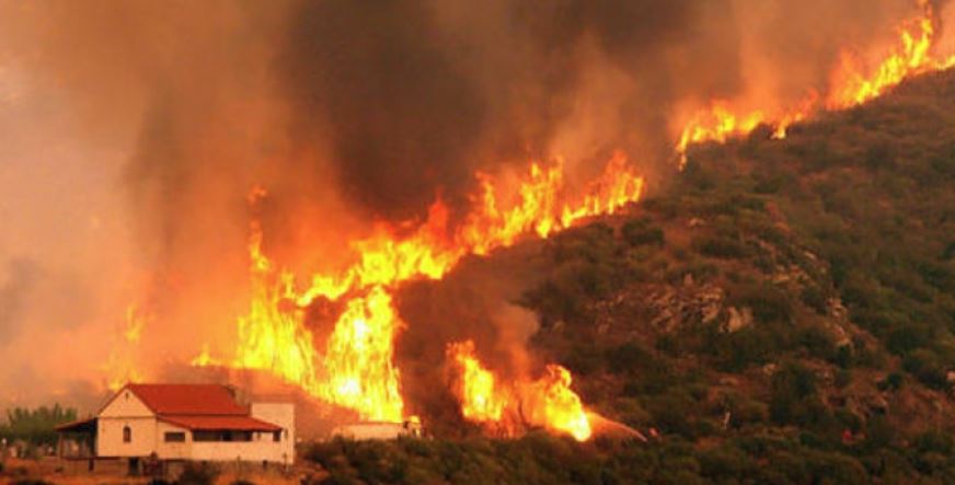 Incendii în GRECIA: Bilanț în creștere – 74 de morți și peste 170 de răniți