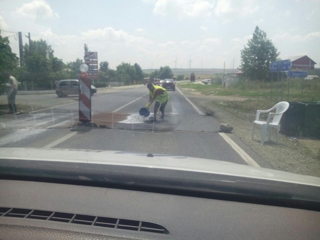 Pestă porcină în județul Constanța | Măsuri de biosecuritate, IGNORATE de cei care tranzitează zonele declarate focare
