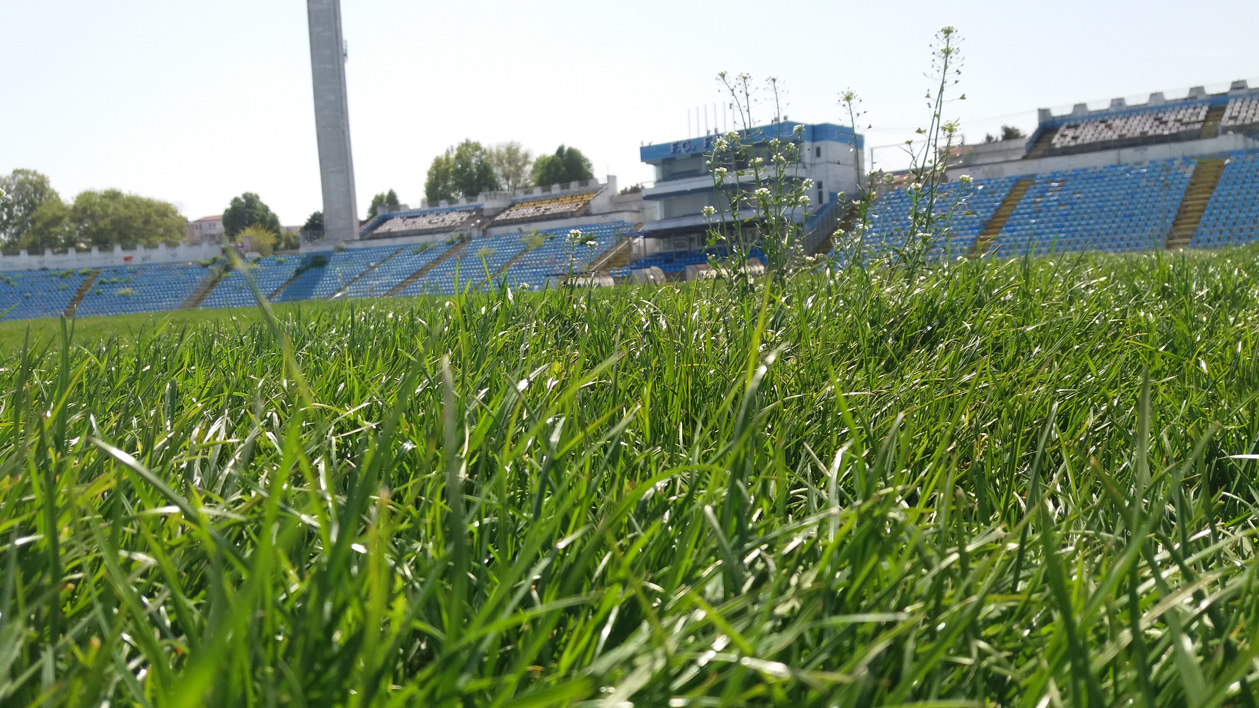 SSC Farul Constanța află joi programul din Liga a 2-a