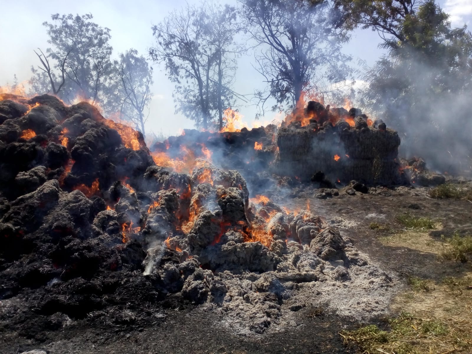 FOTO – Județul TULCEA: Incendiu într-o gospodărie din localitatea Turda. O octogenară a ajuns la spital