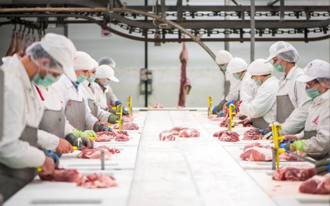 Pierderi de 7-8 milioane de euro pentru Carniprod Tulcea. Când va reveni pe piață producătorul dobrogean de mezeluri? Interviu cu directorul general, Nicolae Ciuleac