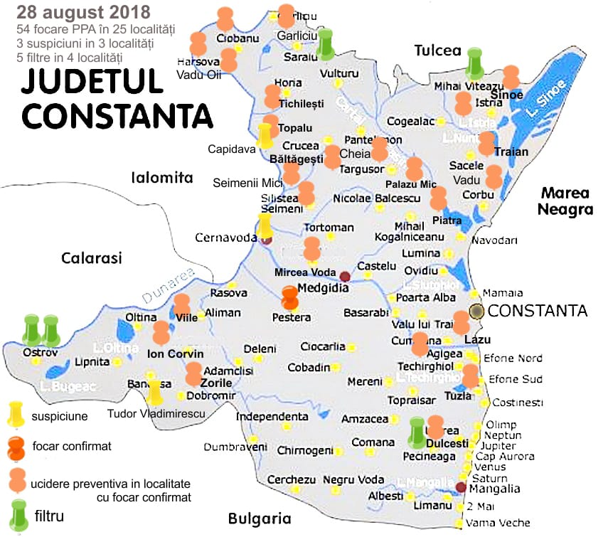 Județul CONSTANȚA: Suspiciuni de pestă porcină africană în alte 5 localități
