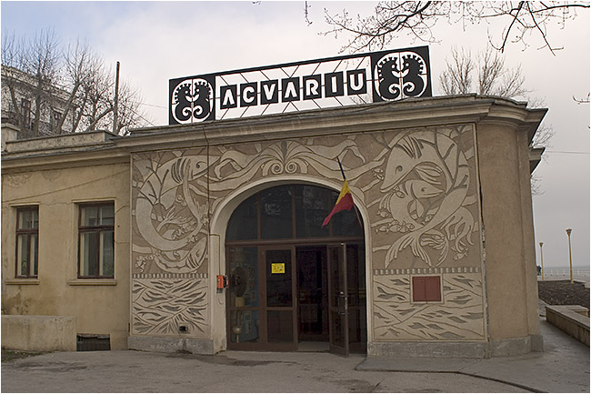 Consiliul Județean Constanța vrea să obțină bani europeni pentru un nou Acvariu