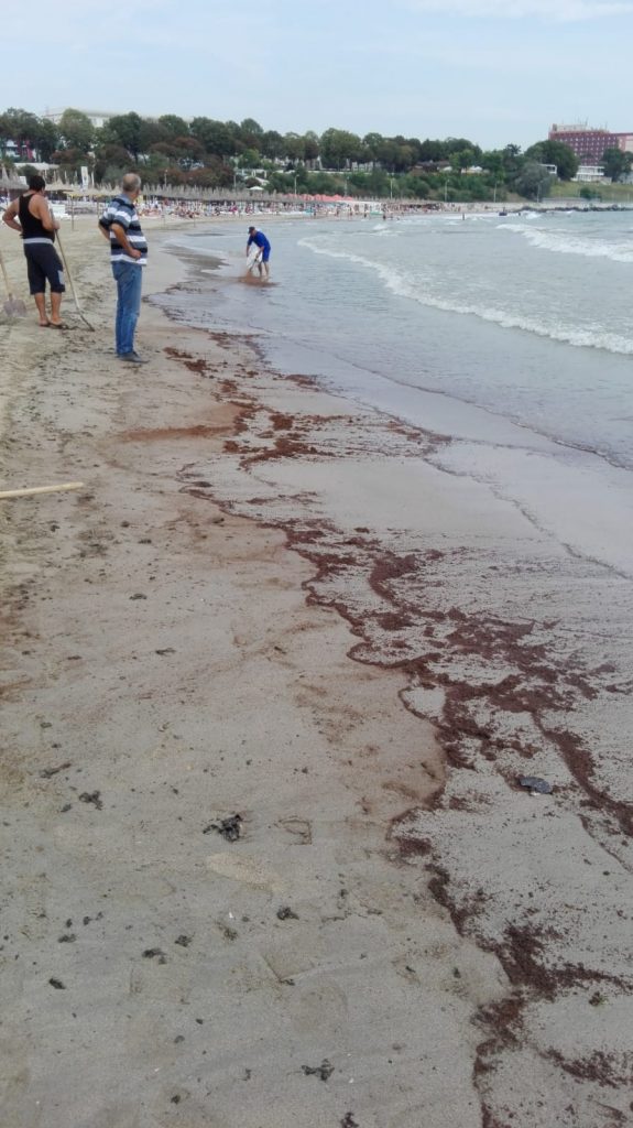 MANGALIA: Zona de plajă poluată cu hidrocarburi rămâne închisă – update