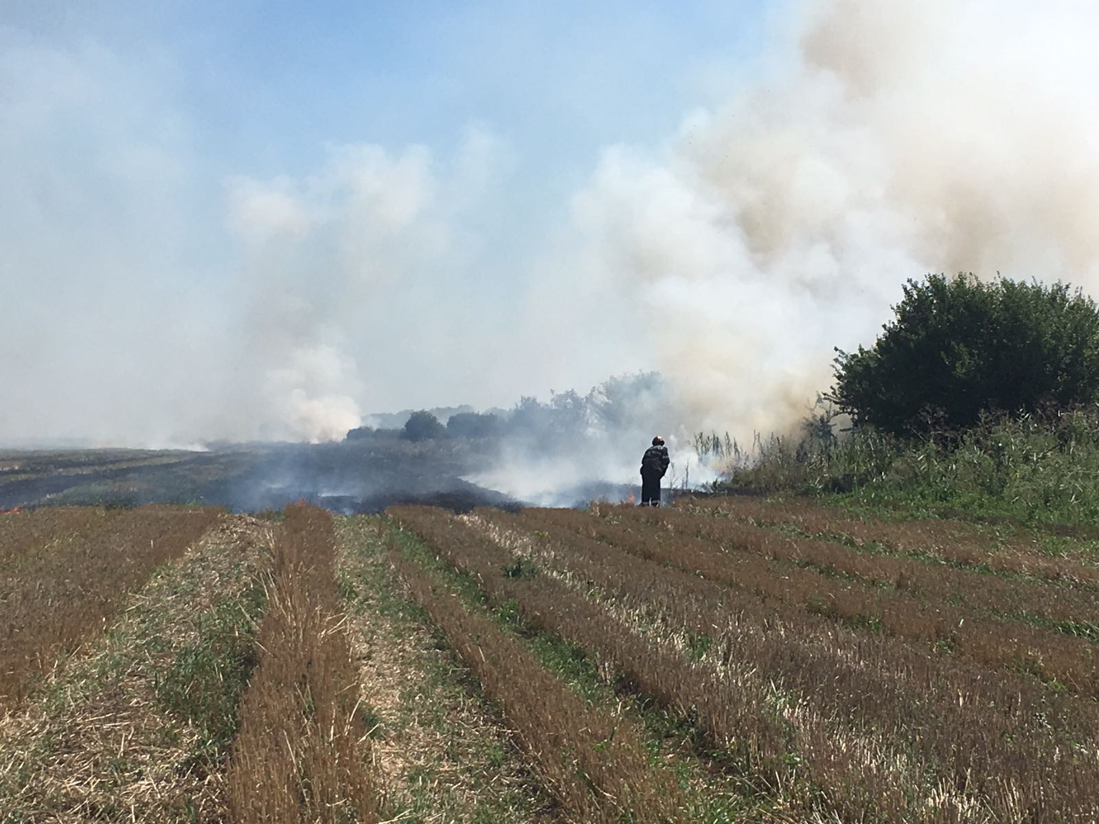 FOTO – Județul TULCEA: Au ars aproximativ 10 hectare de vegetație uscată
