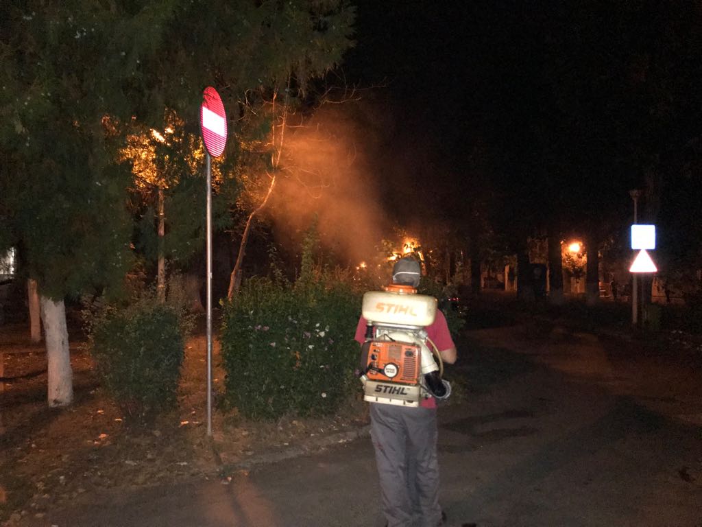 CONSTANȚA: Se reiau acțiunile de dezinsecție