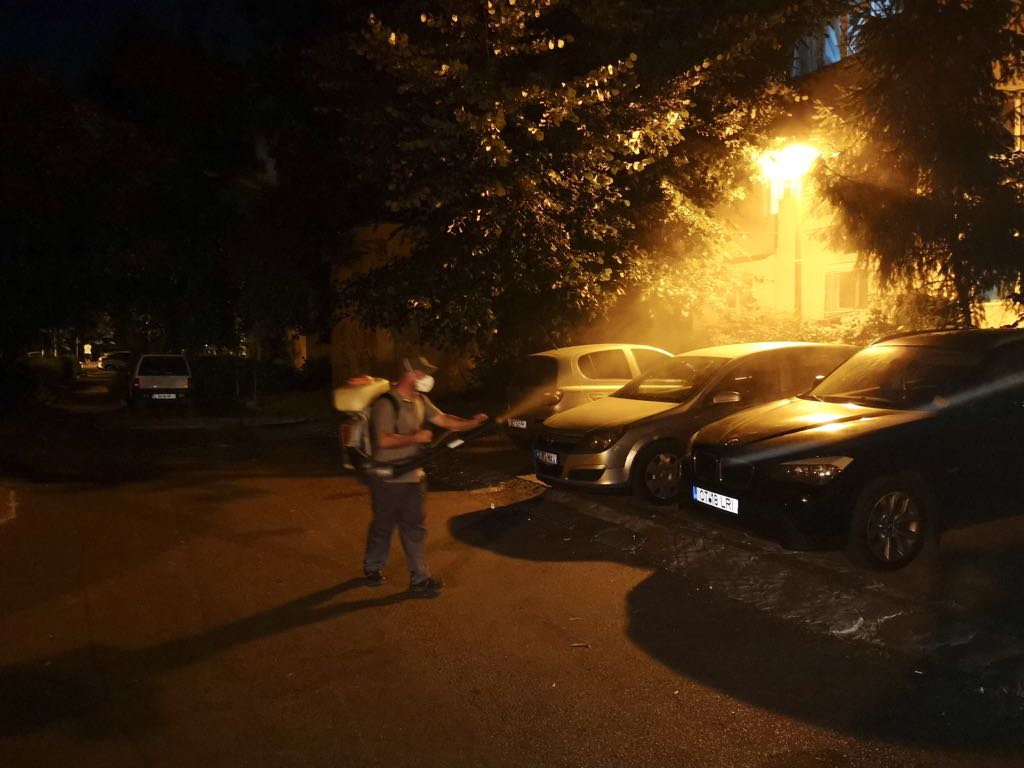 Primăria Constanţa a reluat acţiunile de dezinsecţie
