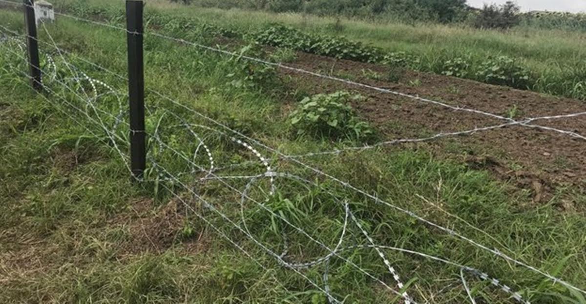 Ministrul bulgar al Agriculturii spune că gardul de la graniţa cu România va fi gata luna aceasta