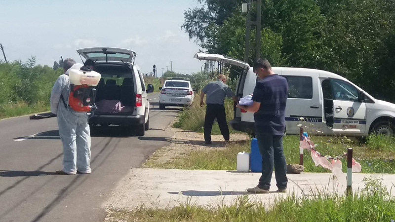Atenționare de călătorie în Bulgaria – măsuri la frontiere privind pesta porcină africană