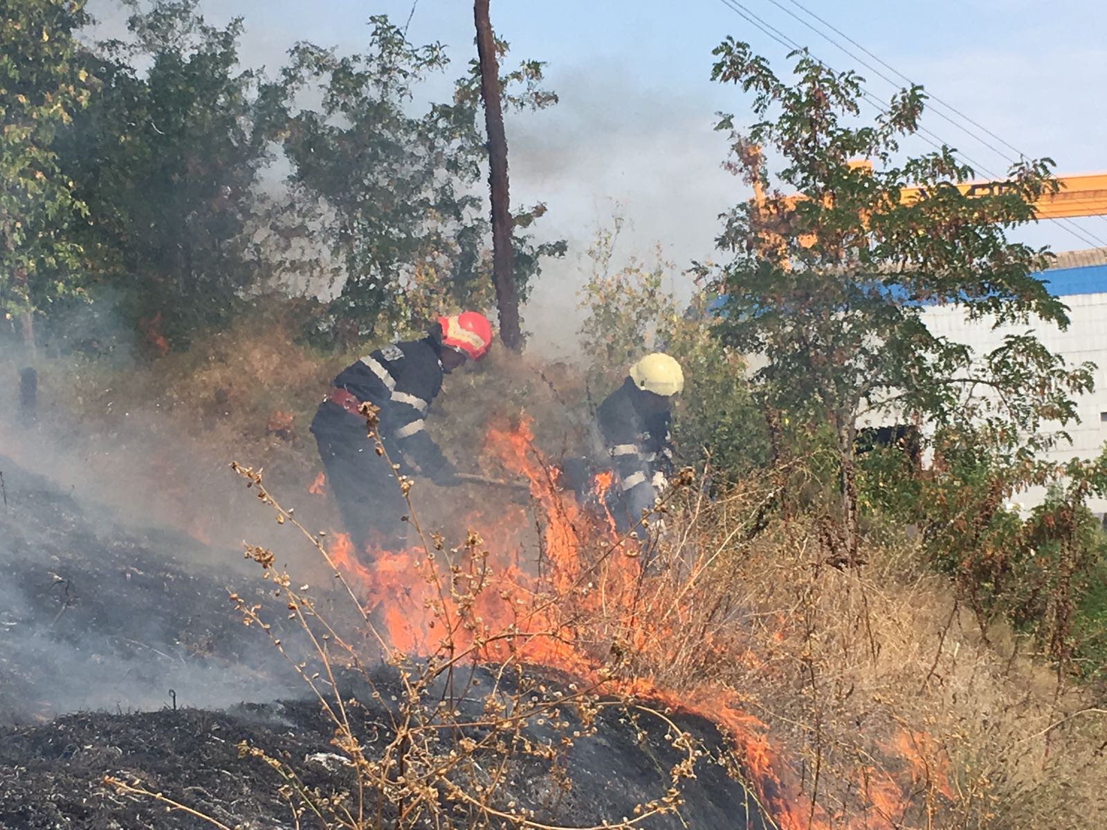 FOTO – TULCEA: Incendiu în apropiere de lacul Ciuperca
