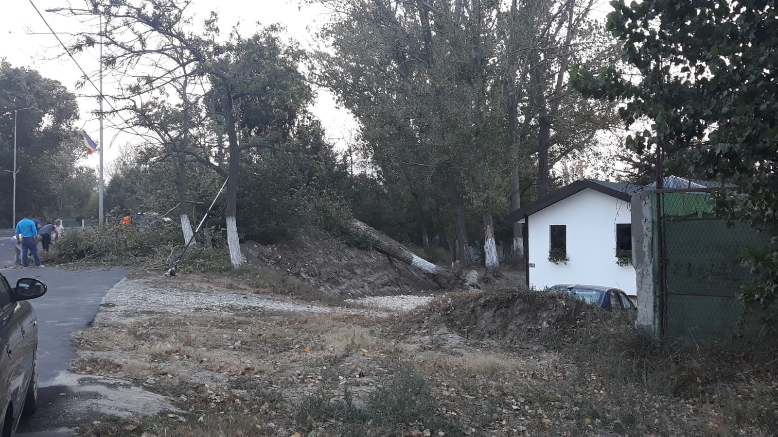 Infotrafic: Un copac s-a prăbușit pe carosabil în zona Satului de Vacanță (foto)