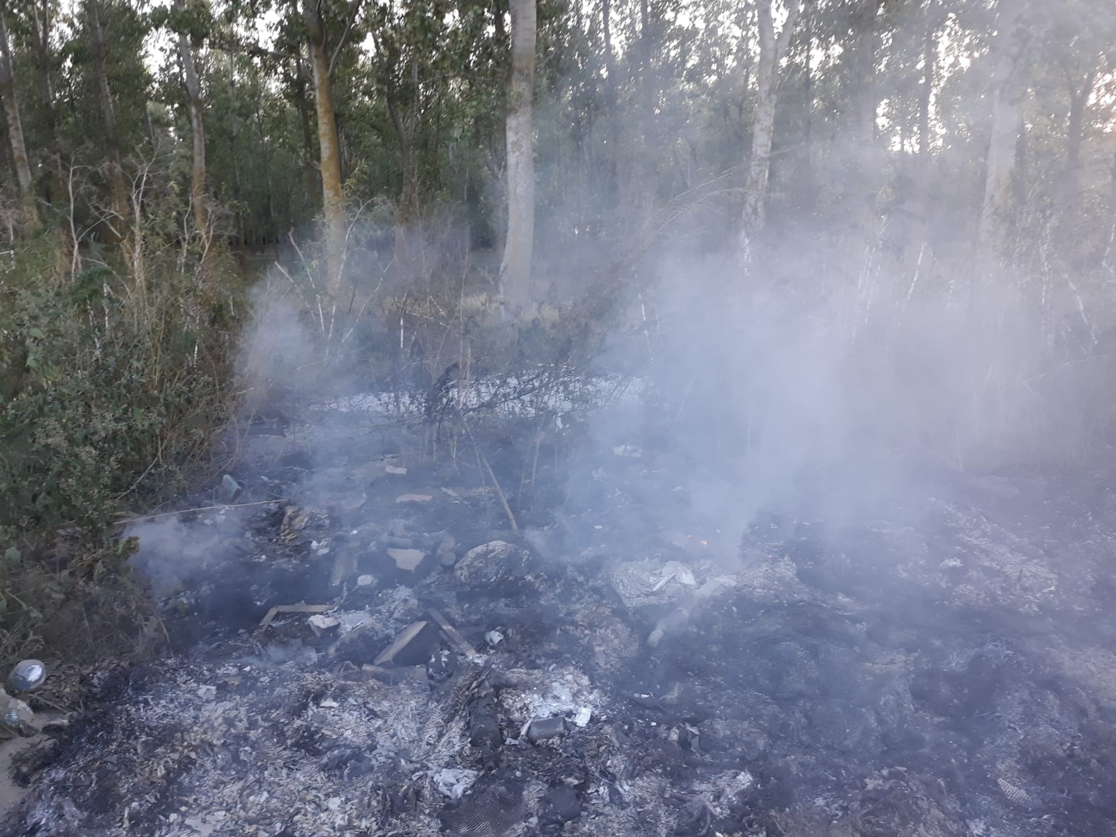Incendiu de vegetație uscată și gunoi menajer într-o localitate tulceană
