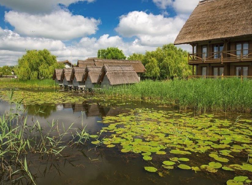 DELTA DUNĂRII: Peste 4.000 de hectare din amenajări agricole, scoase la licitaţie