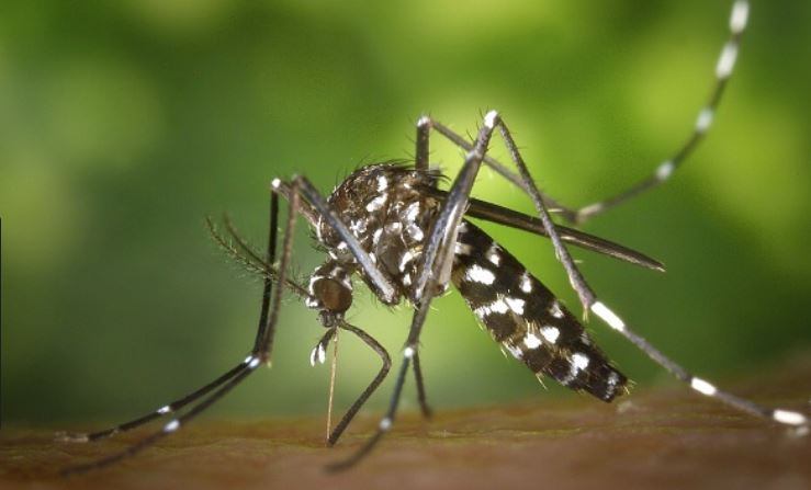 Numărul persoanelor infectate cu virusul West Nile a ajuns la 47