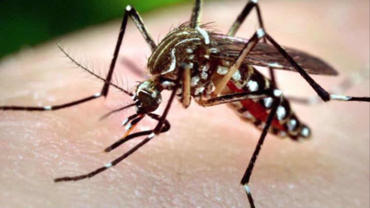 Peste 160 de cazuri de infectare cu virusul West Nile la nicel național. 17 persoane au decedat