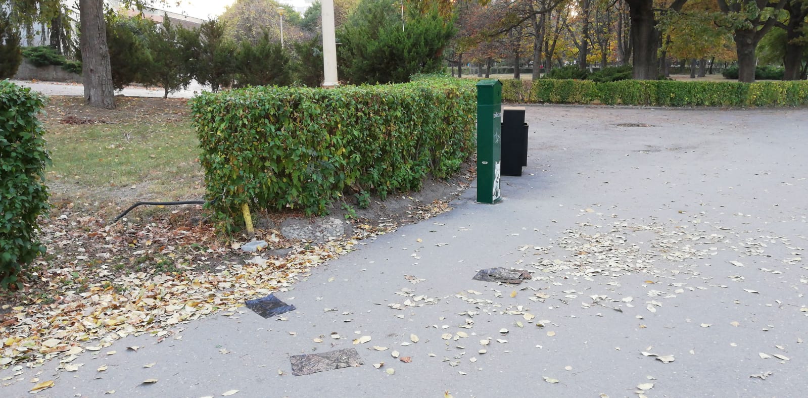 INSTANTANEUL ZILEI, la Constanța: Coșuri pentru deșeuri canine, vandalizate