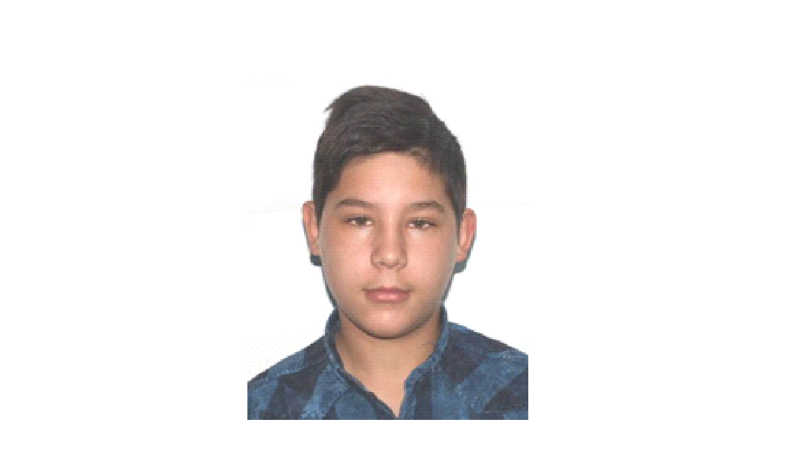 Dispărut de acasă | Poliția cere ajutor pentru găsirea băiatului din imagine