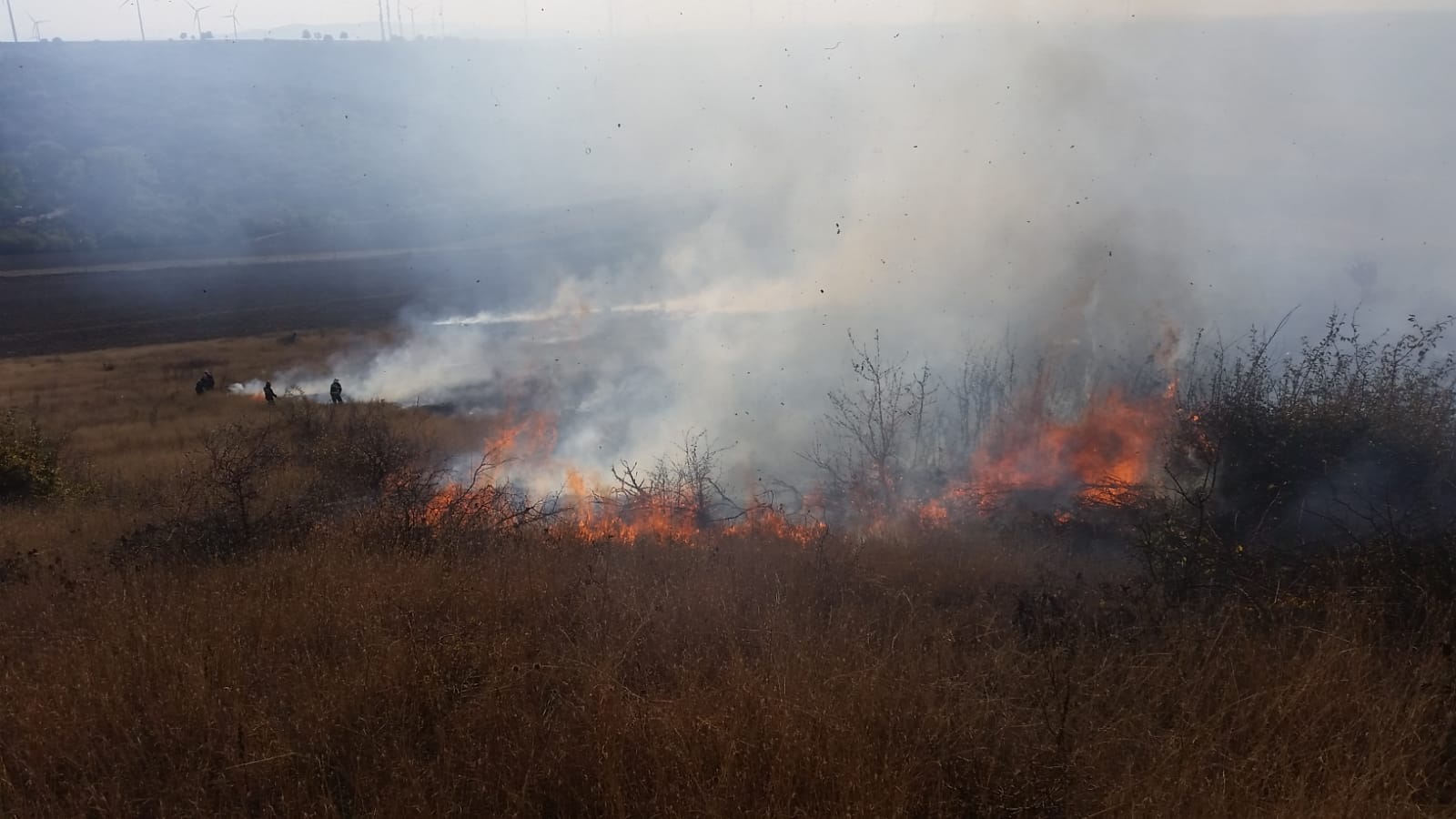 UPDATE Incendiu de proporții în județul Tulcea. Au ars 35 de hectare de vegetație uscată FOTO